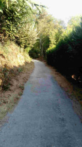 Chemin de la perrine 5