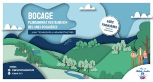 Haies_bocagères